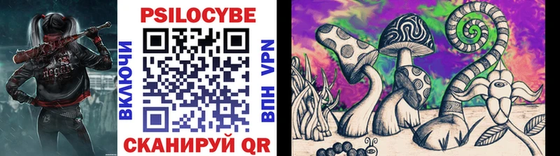 Галлюциногенные грибы Psilocybe  Купить  Уяр 